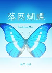 落网蝴蝶 落网蝴蝶